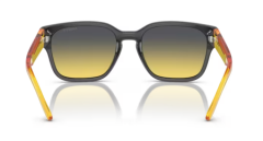 ARNETTE 0AN4325 27862Q Güneş Gözlüğü