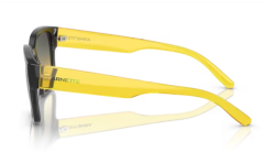 ARNETTE 0AN4325 27862Q Güneş Gözlüğü