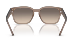 ARNETTE 0AN4325 290613 Güneş Gözlüğü