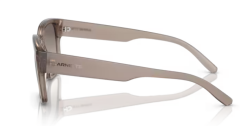 ARNETTE 0AN4325 290613 Güneş Gözlüğü
