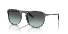 RAY-BAN 0RB2203 1391GK Unisex Güneş Gözlüğü