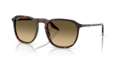 RAY-BAN 0RB2203 14290A Unisex Güneş Gözlüğü