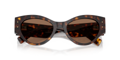 DOLCE & GABBANA 0DG4480 502/73 Kadın Güneş Gözlüğü