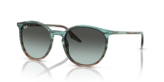 RAY-BAN 0RB2204 1394GK Unisex Güneş Gözlüğü