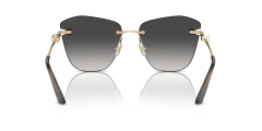 Jimmy Choo 0JC4004HB 30068G Kadın Güneş Gözlüğü