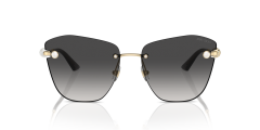 Jimmy Choo 0JC4004HB 30068G Kadın Güneş Gözlüğü