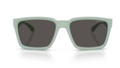 ARNETTE 0AN4346 296487 Güneş Gözlüğü