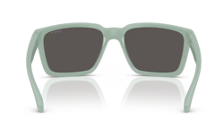 ARNETTE 0AN4346 296487 Güneş Gözlüğü