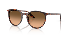 RAY-BAN 0RB2204 14293B Unisex Güneş Gözlüğü