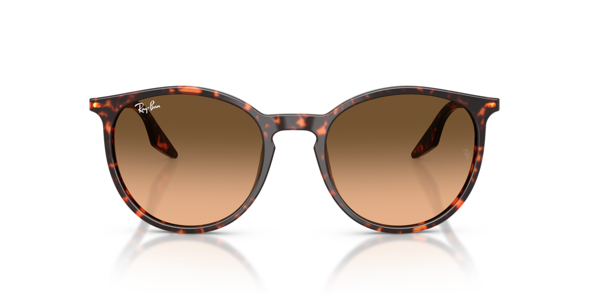 RAY-BAN 0RB2204 14293B Unisex Güneş Gözlüğü