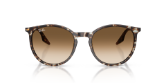 RAY-BAN 0RB2204 143151 Unisex Güneş Gözlüğü