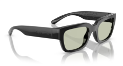 ARNETTE 0AN4354 2900/2 Güneş Gözlüğü