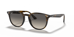 RAY-BAN 0RB4259 710/11 Unisex Güneş Gözlüğü