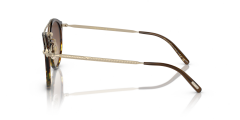 OLIVER PEOPLES 0OV5349S 1756Q1 Unisex Güneş Gözlüğü