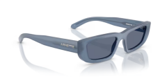 ARNETTE 0AN4357 124872 Güneş Gözlüğü