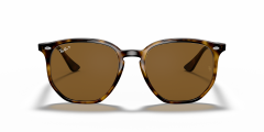 RAY-BAN 0RB4306 710/83 Unisex Güneş Gözlüğü