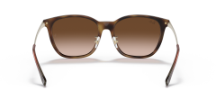 RAY-BAN 0RB4333D 710/13 Unisex Güneş Gözlüğü