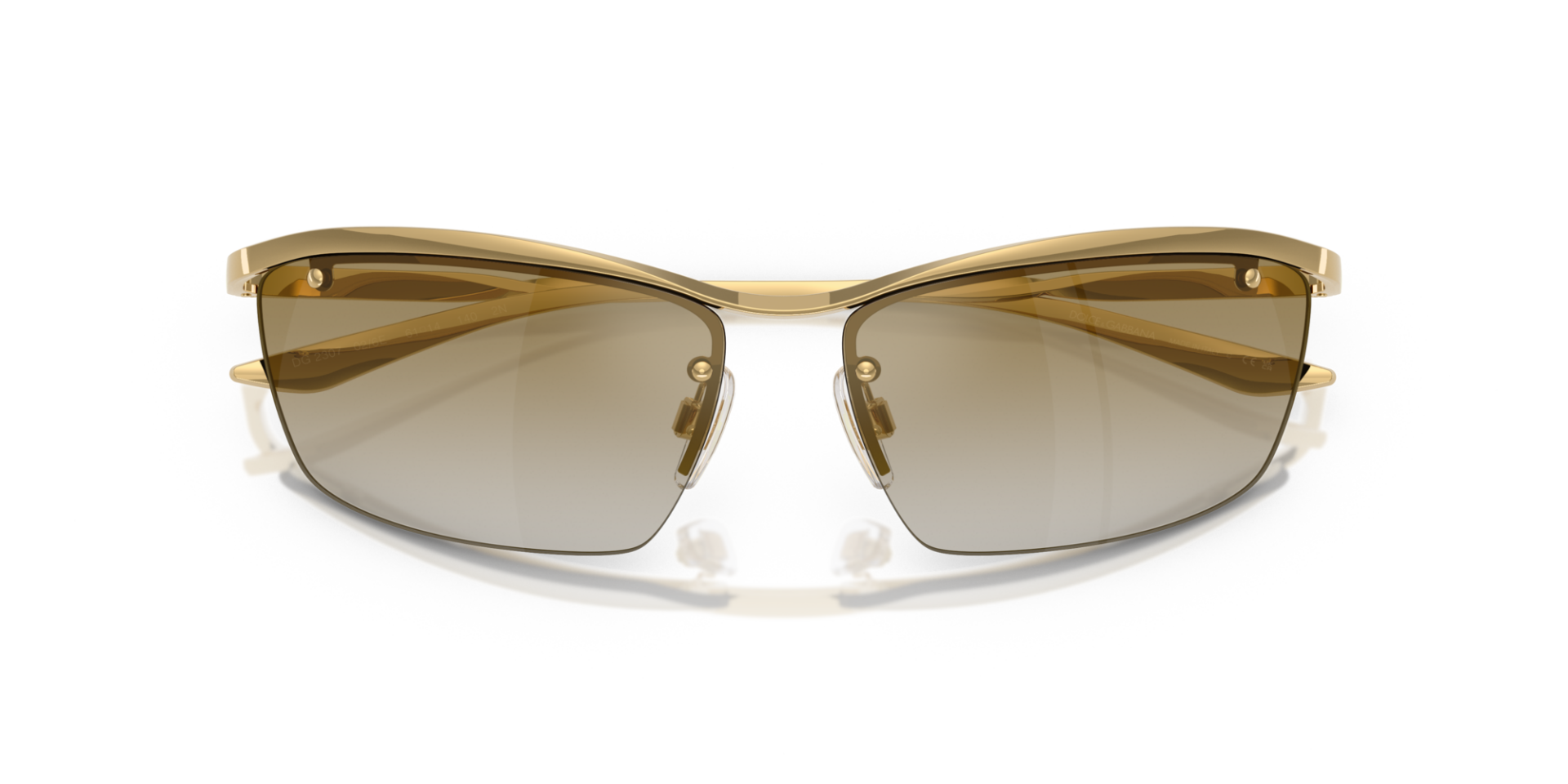 DOLCE & GABBANA 0DG2307 02/6E Unisex Güneş Gözlüğü