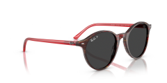 RAY-BAN 0RB2230 141948 Unisex Güneş Gözlüğü