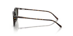 OLIVER PEOPLES 0OV5529SU 174152 Unisex Güneş Gözlüğü