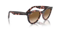 RAY-BAN 0RB2241 133451 Unisex Güneş Gözlüğü