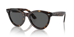 RAY-BAN 0RB2241 902/B1 Unisex Güneş Gözlüğü