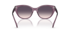 RALPH 0RA5324U 620736 Kadın Güneş Gözlüğü