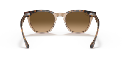RAY-BAN 0RB2298 1292M2 Unisex Güneş Gözlüğü