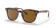 RAY-BAN 0RB2298 954/33 Unisex Güneş Gözlüğü