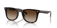 RAY-BAN 0RB4420 710/13 Unisex Güneş Gözlüğü