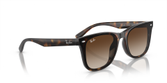 RAY-BAN 0RB4420 710/13 Unisex Güneş Gözlüğü