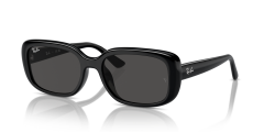 RAY-BAN 0RB4421D 667787 Unisex Güneş Gözlüğü