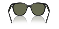 RAY-BAN 0RB4423D 601/9A Unisex Güneş Gözlüğü