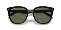 RAY-BAN 0RB4423D 601/9A Unisex Güneş Gözlüğü