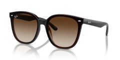 RAY-BAN 0RB4423D 714/13 Unisex Güneş Gözlüğü