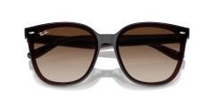 RAY-BAN 0RB4423D 714/13 Unisex Güneş Gözlüğü