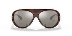 RALPH LAUREN 0RL8194 50076G Erkek Güneş Gözlüğü