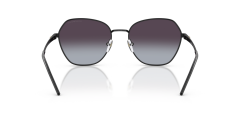 EMPORIO ARMANI 0EA2161 30018G Kadın Güneş Gözlüğü