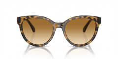 EMPORIO ARMANI 0EA4140 60593B Kadın Güneş Gözlüğü