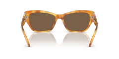 RALPH LAUREN 0RL8206U 605173 Kadın Güneş Gözlüğü