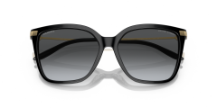 RALPH LAUREN 0RL8209 5001T3 Kadın Güneş Gözlüğü
