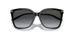 RALPH LAUREN 0RL8209 5001T3 Kadın Güneş Gözlüğü