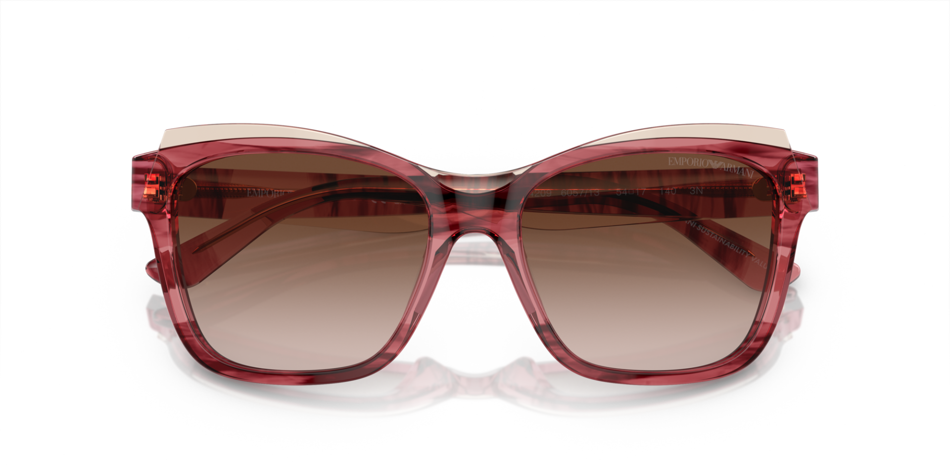 EMPORIO ARMANI 0EA4209 605713 Kadın Güneş Gözlüğü