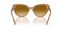 RALPH LAUREN 0RL8215BU 60832L Kadın Güneş Gözlüğü